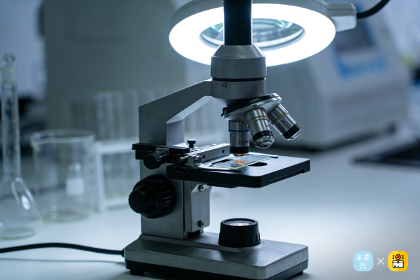 订单日记助力米柔光实现全流程数字化